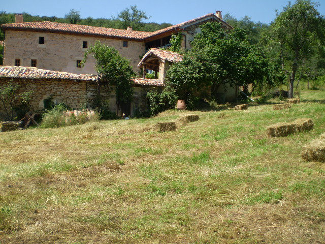 Segar la hierba en Manzanela
