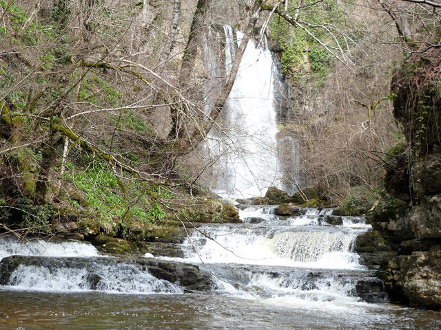The Beech forest and Pisas Waterfall